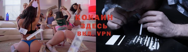 шишки Нефтегорск