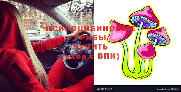 шишки Нефтегорск
