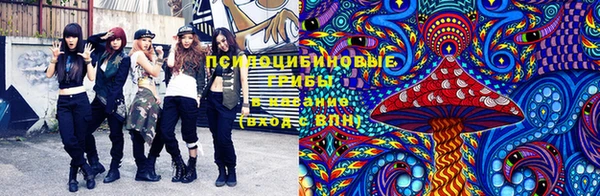 apvp Надым
